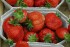 Frische Erdbeeren aus der Pfalz - aromatisch und saftig
