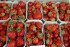 Frische Erdbeeren aus der Pfalz -saftige Geschmacksvielfalt